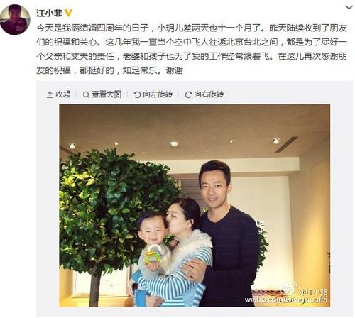 汪小菲晒全家福庆结婚4周年大S幸福吻爱女(图)