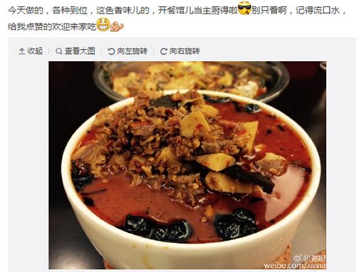 谢娜晒美食秀厨艺网友:上得厅堂下得厨房(图)