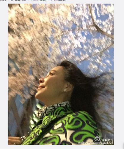 �����Ứ������Ӱ����Ʈ�ݻ���Ψ����ͼ��