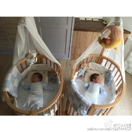 ������˫��̥�����ɴ��϶��������Ʋι��Լ��ң�ͼ��