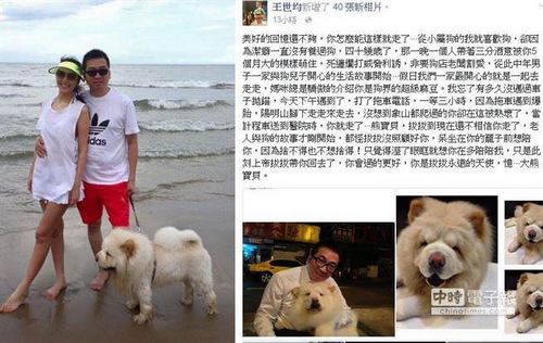 模特洪晓蕾老公车抛锚等救援3小时爱犬被热死(图)
