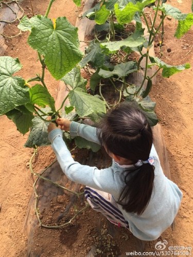 ����ı9��Ů�����ժ�������ޣ���ʵ�޻���ͼ��