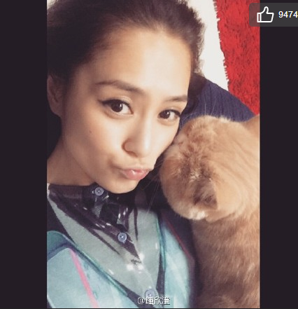 �������������˺�Ӱ������������״��ͼ��