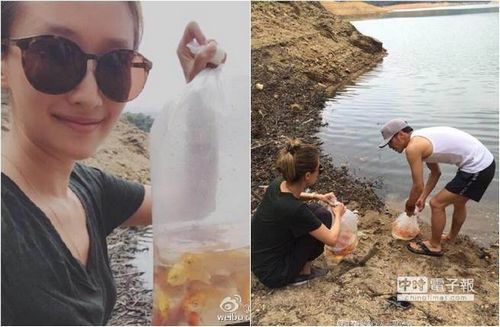 л���洩������������һ���ڳ����߷������㣨ͼ��