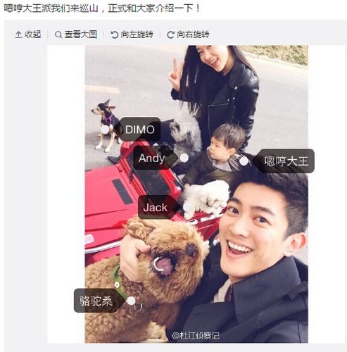 霍思燕老公晒“全家福”爱犬抢镜(图)