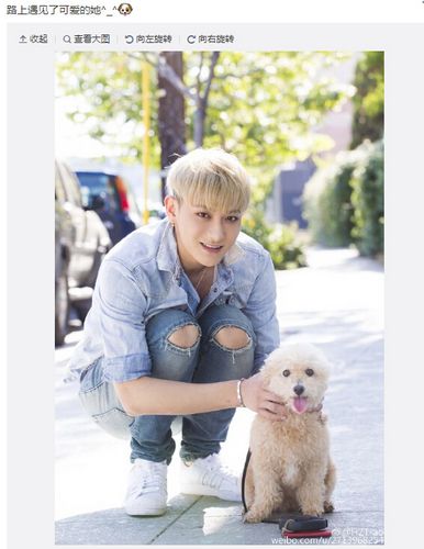 点图查看下一页