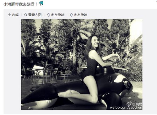 Ҧ����Ӿװ����ࡱ����������ԸУ�ͼ��