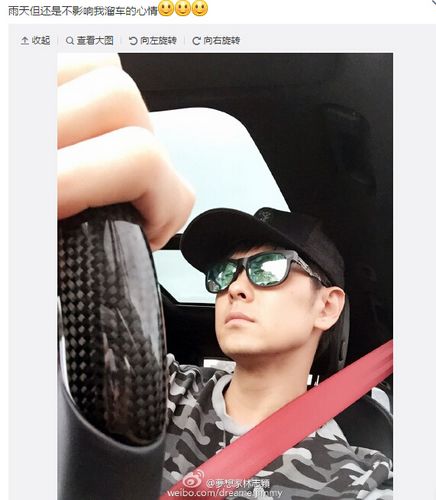 林志颖雨天开车外出戴墨镜造型帅酷(图)