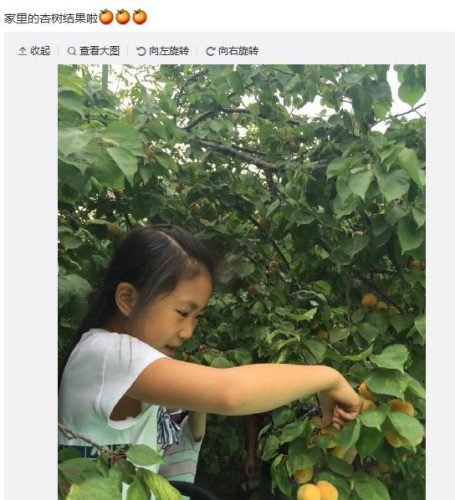 ����ı����ɹŮ��ժ����������Ľ��԰֮�֣�ͼ��