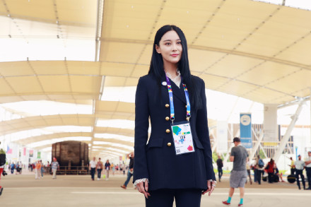 ��ܰ����������ʹ��á���Ӧ�������Լ�,��������