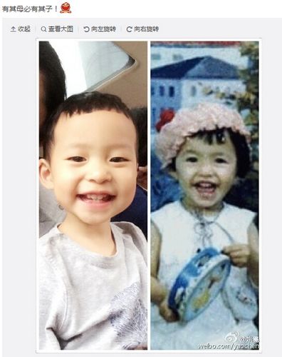 姚晨童年与儿子相貌相似称:有其母必有其子(图)