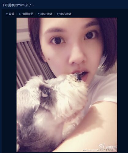 点图查看下一页