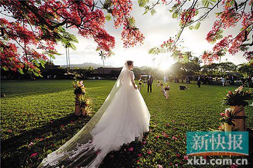 陆川低调迎娶胡蝶妻子长相被指酷似范冰冰(图)