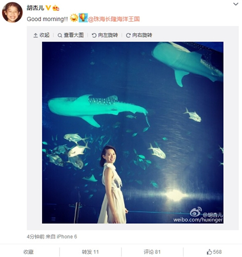胡杏儿重回动物园看鲸鱼穿白长裙回眸笑(图)
