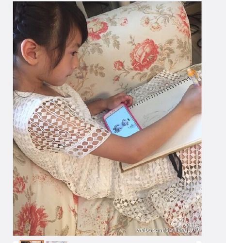 田亮误以为女儿在画自己森碟:要画你自己画去(图)