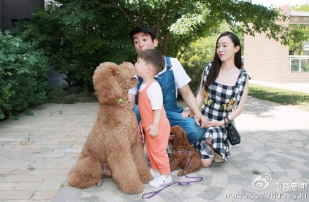 点图查看下一页