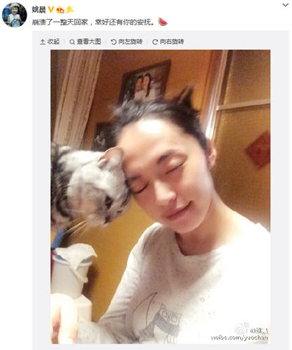 Ҧ���賿�ؼ���è���Ӱ���Һû�����İ�����ͼ��