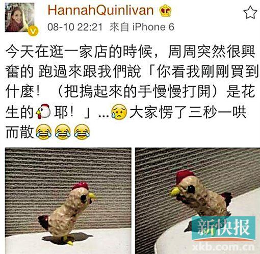 ����������ܽ��׶ȼ�Ȥ���з��򡰻��������ױ�