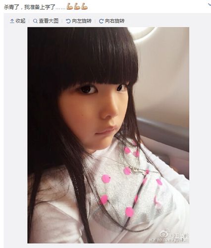 李湘老公晒女儿美照王诗龄侧坐出镜呆萌可爱