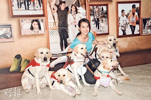 ���Ӷ�̫æûʱ��̸��������û����Թ�ң�ͼ��