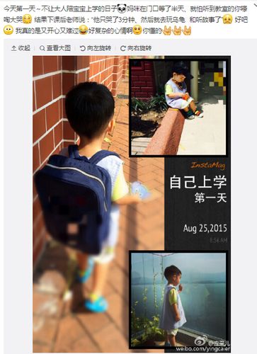 应采儿儿子第一天“上学”背书包造型可爱(图)