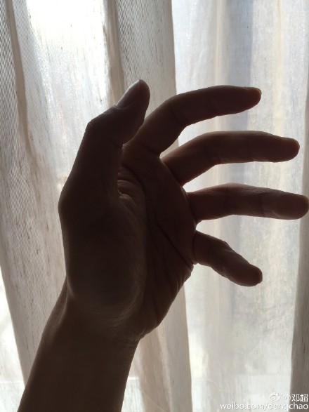 �˳��Գ��������������������ѣ������������