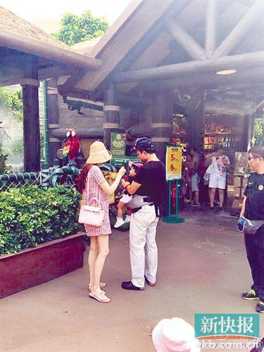 ��������������۳������������ƻ���̥���ţ�ͼ��