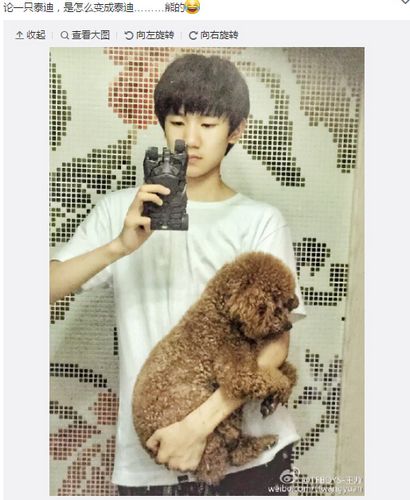 TFBOYS��Դ���ֱ���Ȯ�����ֻ���������ͼ��