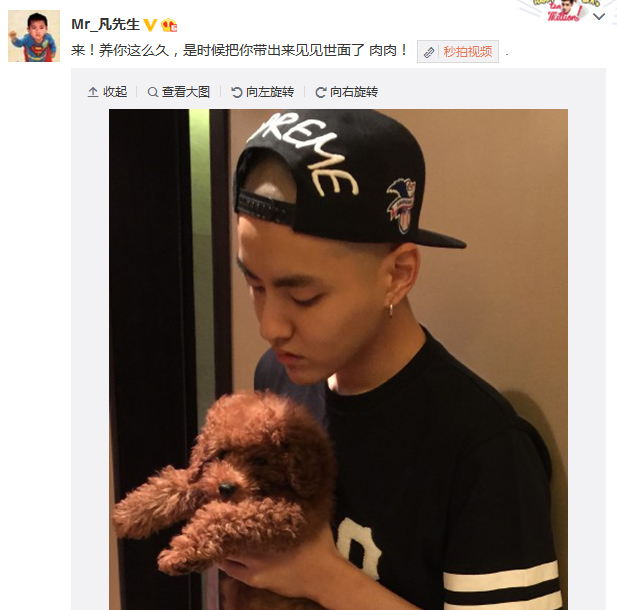 演员吴亦凡晒宠物狗训练其站、坐、转圈(图)