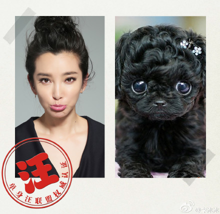 李冰冰模仿狗狗表情翻白眼吐舌头神还原组图