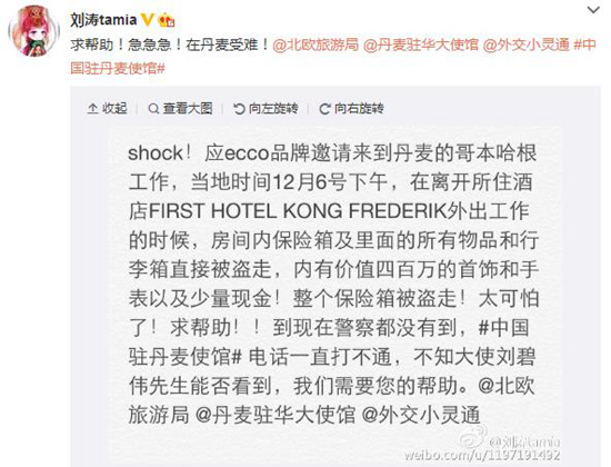 刘涛在丹麦遭遇盗窃丢失物品价值400万(图)