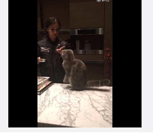 Angelababy����ιèСè��Ӣ��ָ��Թ�����