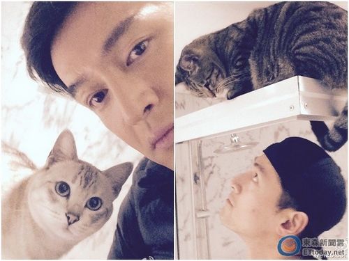 胡歌坦承未谈恋爱母亲近几年不会直接逼婚(图)