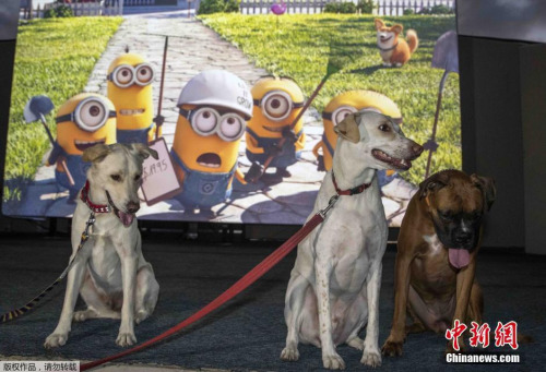 ����Ʊ��������Ƭ��λ�ƻ�Ƭ���Ǽ�3���Ƕ�
