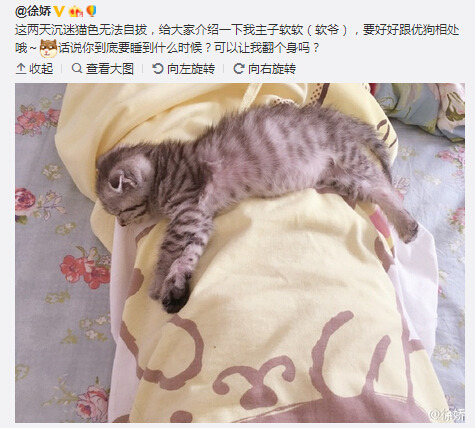 �콿�������²���ƽ�ػ����������һ����֪