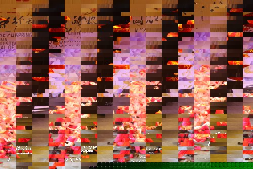 四海同春在加拿大首演:天涯若比邻四海喜同春