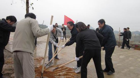 广西侨联副主席率机关干部到钦州市义务植树