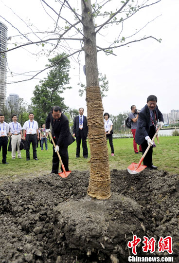 ���绪���س�ֲ�����������������