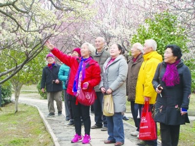 七旬老侨眷因爱梅花定居苏州热心“侨之家”活动